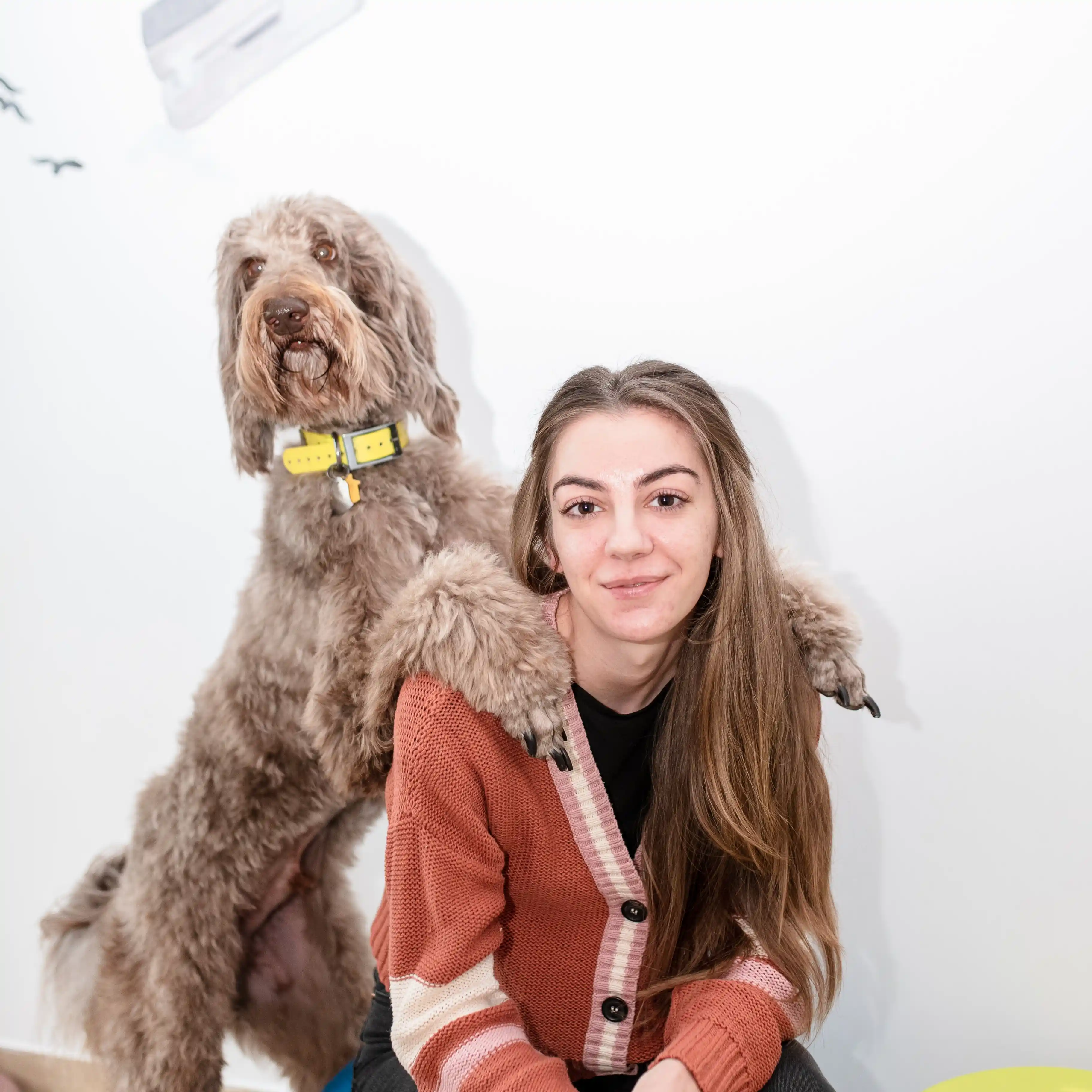 Brenda Ungur - Conductor canin