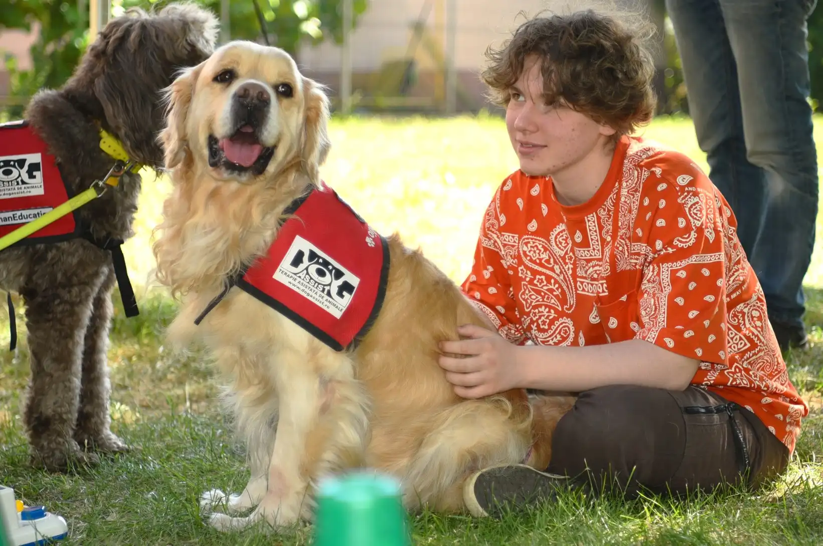 Voluntari Dog Assist