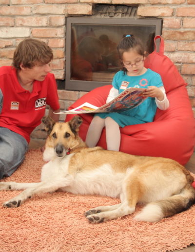 Reading for Dogs (19)