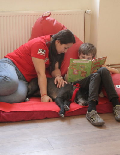 Reading for Dogs (27)