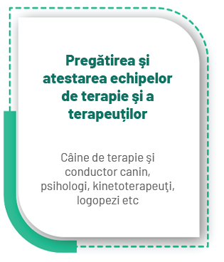 echipe de terapie