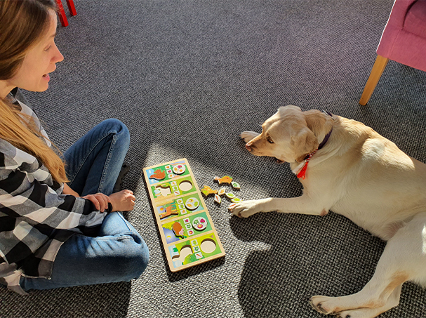 dog assist 2