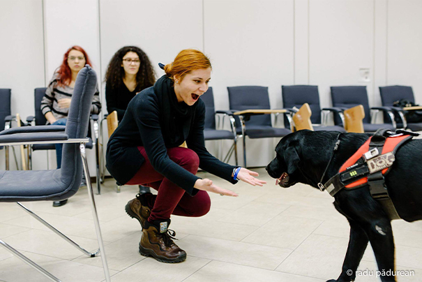 dog assist 4