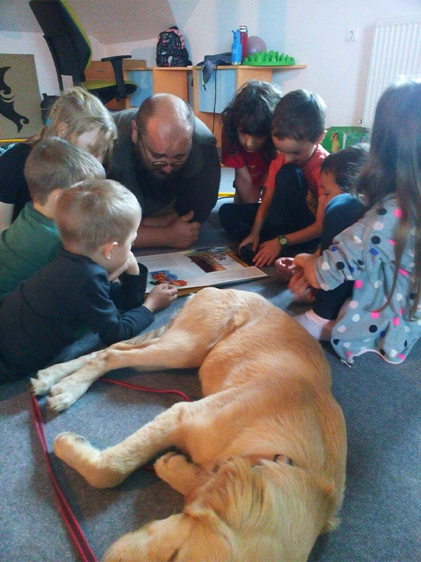dog assist meeting